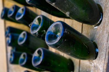 Yeraltındaki mağaralarda, ahşap raflarda şişelerle yürüyoruz. Geleneksel şampanya yapımı Chardonnay ve Epernay, Champagne, France 'da siyah üzümler.