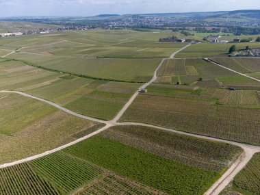 Hautvillers, Cumieres ve Marne River Valley, Champange, Fransa yakınlarındaki yeşil başbakanın panoramik hava manzaralı cru şampanya bağları ve tarlaları