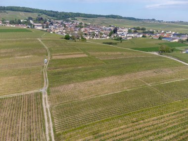 Avize ve Oger, Cotes des Blancs, Champange France köylerinin yakınlarındaki yeşil büyük cru şampanya bağlarında panoramik hava manzarası