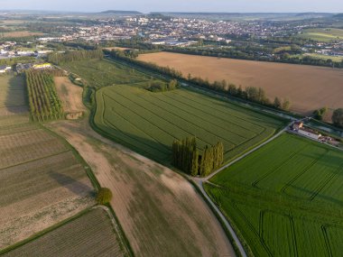 Hautvillers, Cumieres ve Marne River Valley, Champange, Fransa yakınlarındaki yeşil başbakanın panoramik hava manzaralı cru şampanya bağları ve tarlaları