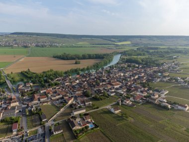 Hautvillers, Cumieres ve Marne River Valley, Champange, Fransa yakınlarındaki yeşil başbakanın panoramik hava manzaralı cru şampanya bağları ve tarlaları