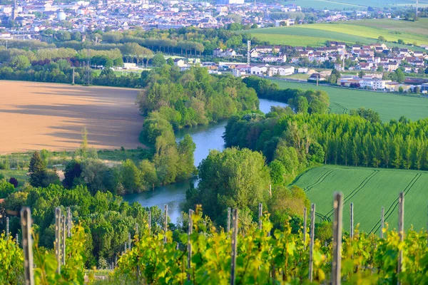 View Green Premier Cru Champagne Vineyards Valley Marne River Village — Stock fotografie