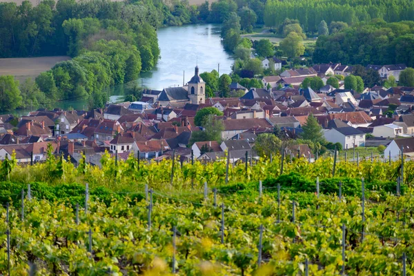 Widok Panoramiczny Zielone Winnice Rzekę Marne Miejscowości Cumieres Pobliżu Epernay — Zdjęcie stockowe
