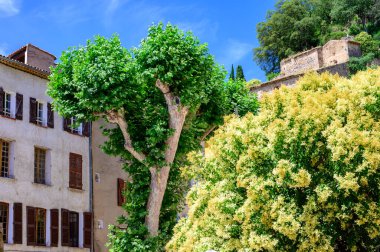 Seyahat yeri, Var, Provence 'deki küçük antik bir köy. Üzüm bağları ve troglodit evleri olan kayalıklarla çevrili.