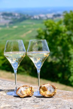 Sancerre Chavignol üzüm bağlarından alınmış beyaz şarap kadehleri ve Sancerre köyü yakınlarındaki çakıl taşı toprağı örneği, Cher, Loire vadisi, Fransa.