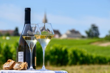 Pouilly-Fume cazibesi bağlarından alınmış beyaz şarap kadehleri ve Pouilly-sur-Loire, Burgundy, Fransa yakınlarındaki çakıl taşı toprağı örnekleri.
