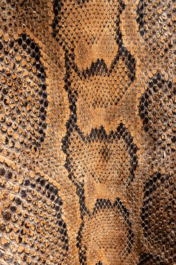 Real genuine python snake skin background, exotic animals confiscated by border by custom, banned from entry Europe clipart