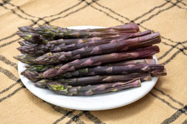 Bahar mevsimi, yeni Hollanda hasadı, Alman mor kuşkonmazı, bir demet mor kuşkonmaz