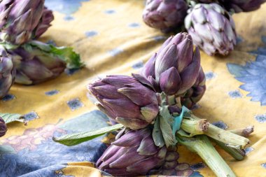 Taze organik enginar başları, yenilebilir sebzeler mor Romanesco enginarları.