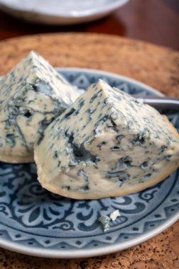 Peynir koleksiyonu, bir parça Fransız küflü peyniri Auvergne ya da dörtlü peynir.