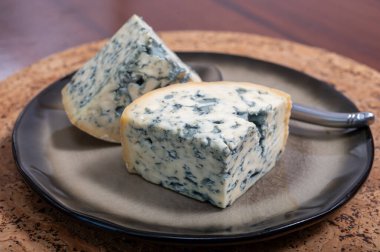 Peynir koleksiyonu, bir parça Fransız küflü peyniri Auvergne ya da dörtlü peynir.