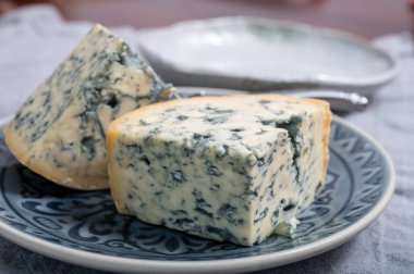 Peynir koleksiyonu, bir parça Fransız küflü peyniri Auvergne ya da dörtlü peynir.