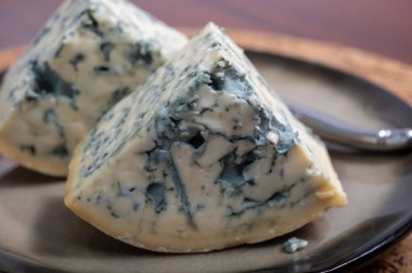 Peynir koleksiyonu, bir parça Fransız küflü peyniri Auvergne ya da dörtlü peynir.