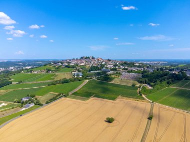 Sancerre adından üzüm bağları, Sauvignon Blanc üzümünden yapılan kuru beyaz şarap Loire nehrinin yamaçlarında farklı toprak türleri üzerinde yetişiyor, Fransa