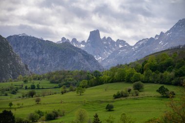 Kuzey İspanya 'nın Asturias kentindeki Picos de Europa' nın Macizo Orta Bölgesi 'nde yer alan Paleozoik Çağ' dan kalma kireçtaşı zirvesi Naranjo de Bulnes veya Picu Urriellu 'nun görüntüsü