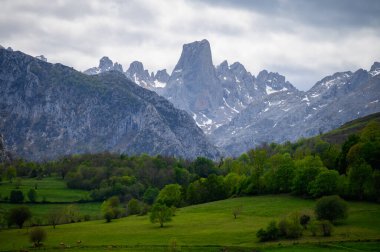 Kuzey İspanya 'nın Asturias kentindeki Picos de Europa' nın Macizo Orta Bölgesi 'nde yer alan Paleozoik Çağ' dan kalma kireçtaşı zirvesi Naranjo de Bulnes veya Picu Urriellu 'nun görüntüsü