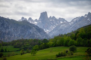 Kuzey İspanya 'nın Asturias kentindeki Picos de Europa' nın Macizo Orta Bölgesi 'nde yer alan Paleozoik Çağ' dan kalma kireçtaşı zirvesi Naranjo de Bulnes veya Picu Urriellu 'nun görüntüsü