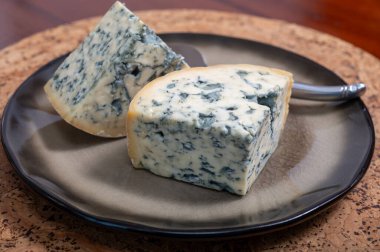 Peynir koleksiyonu, bir parça Fransız peyniri Auvergne ya da dört tane d 'Ambert yakın çekim..