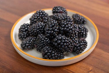 Taze taze böğürtlen böğürtlenleri yeni hasat.