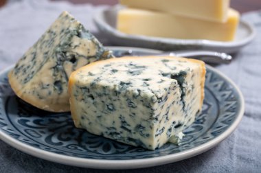 Peynir koleksiyonu, bir parça Fransız peyniri Auvergne ya da dört tane d 'Ambert yakın çekim..