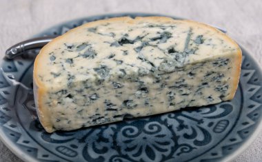 Peynir koleksiyonu, bir parça Fransız peyniri Auvergne ya da dört tane d 'Ambert yakın çekim..