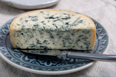 Peynir koleksiyonu, bir parça Fransız peyniri Auvergne ya da dört tane d 'Ambert yakın çekim..