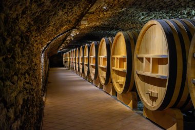 Chateauneuf-du-Pape şarabının yıllandırılması için fıçılarla dolu yeraltı şarap mahzenleri Fransa 'da yeşil üzüm bağlarıyla büyük çakıl taşları kazıkları ve kumtaşı toprakları üzerinde köy yapıyorlar..