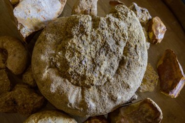 Pouilly-Fume adreslerindeki mahzenlerde şarap turu, Pouilly-Fume adreslerinin toprakları, çakıl taşları, kil taşı, caillottes kireçtaşı fosilleri, Pouilly-sur-Loire, Fransa