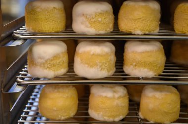 Peynir koleksiyonu, yumuşak keçi peyniri küflü Fransız peyniri Chavignol peyniri peynir tarlasında Sancerre yakınlarında üretiliyor.