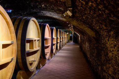 Chateauneuf-du-Pape şarabının yıllandırılması için fıçılarla dolu yeraltı şarap mahzenleri Fransa 'da yeşil üzüm bağlarıyla büyük çakıl taşları kazıkları ve kumtaşı toprakları üzerinde köy yapıyorlar..