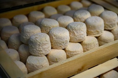 Peynir koleksiyonu, yumuşak keçi peyniri küflü Fransız peyniri Chavignol peyniri peynir tarlasında Sancerre yakınlarında üretiliyor.