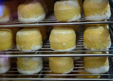 Peynir koleksiyonu, yumuşak keçi peyniri küflü Fransız peyniri Chavignol peyniri peynir tarlasında Sancerre yakınlarında üretiliyor.