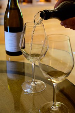 Pouilly-Fume 'daki mahzenlerde şarap turu, Pouilly-sur-Loire, Burgundy, Fransa yakınlarındaki Pouilly-Fume adalarının üzüm bağlarından beyaz şarap tatma,.