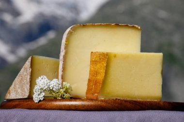 Peynir koleksiyonu, Fransız peyniri kontu, Beaufort, abondance ve yaz aylarında Haute-Savoie 'deki Fransız Aples dağlarının tepeleri.