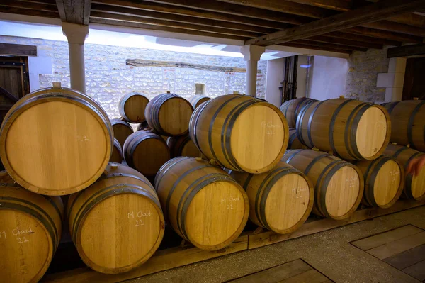 Vinresa Källare Pouilly Fume Appellation Vitt Vin Från Vingårdar Pouilly — Stockfoto