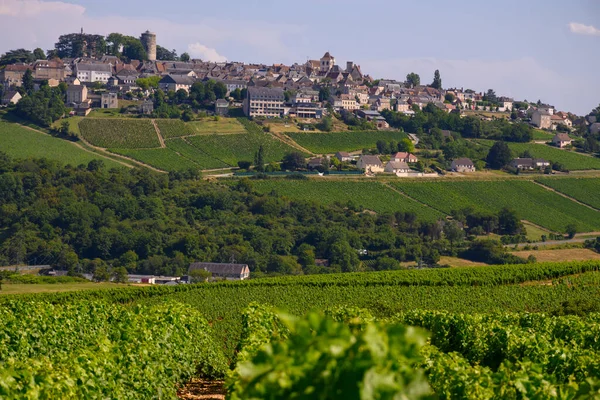 Sancerre şaraplarının etrafındaki yeşil üzüm bağları, farklı topraklarda tepelerde sıralanmış sauvignon beyaz üzümleri, Cher, Loire vadisi, Fransa