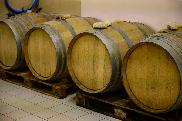 Wycieczka Wina Piwnicach Domeny Pouilly Fume Appellation Białe Wino Winnic — Zdjęcie stockowe