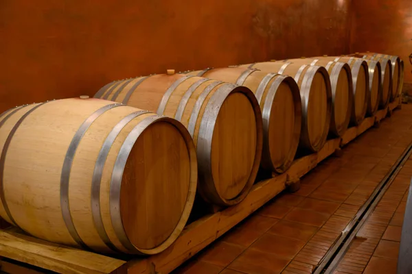 シャトーヌフ パイプ ワインの赤ワインの老化のための樽と地下ワインセラー 大きな小石のガレットと砂岩の粘土土の上の緑のブドウ畑でフランスの村を作る — ストック写真