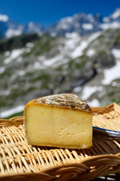 Kolekce Sýrů Sýr Tomme Savoie Regionu Savoy Francouzských Alpách Sýr — Stock fotografie