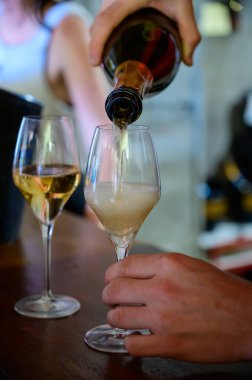 Fransız şampanyası, Cote des Bar 'da hafta sonu şampanya festivali güzergahında köpüklü beyaz şarap tatmak.