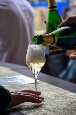 Fransız şampanyası, Cote des Bar 'da hafta sonu şampanya festivali güzergahında köpüklü beyaz şarap tatmak.