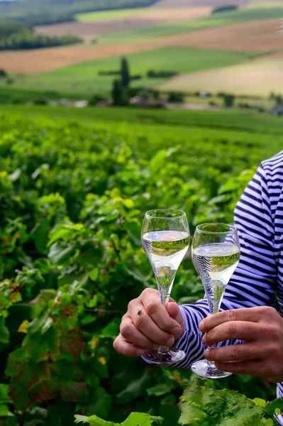 Питьевая Игристое Белое Вино Пузырьками Шампанского Зеленых Холмистых Виноградниках Маленькой — стоковое фото