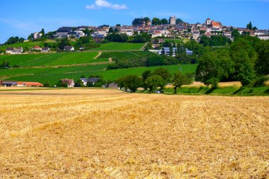 Sancerre şaraplarının etrafındaki yeşil üzüm bağlarının havadan görünüşü köy yapımı, tepelerde farklı topraklarda sıralanmış sauvignon beyaz üzümleri, Cher, Loire vadisi, Fransa