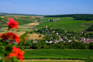 Sancerre 'de yürüyüş, ortaçağ tepe kasabası ve Cher d' de komün.