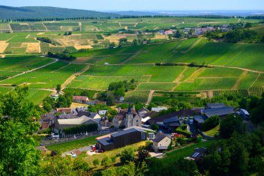 Sancerre Chavignol tepe üzüm bağları, Fransa, Cher departmanı, iver Loire vadisine tepeden bakan, beyaz Sancerre kuru kurtarıcı beyaz şarap