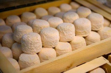 Peynir koleksiyonu, yumuşak keçi peyniri küflü Fransız peyniri Chavignol peyniri peynir tarlasında Sancerre yakınlarında üretiliyor.