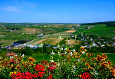 Sancerre 'de yürüyüş, ortaçağ tepe kasabası ve Cher d' de komün.