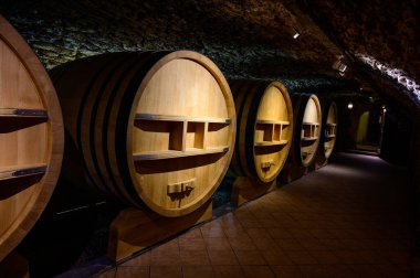 Chateauneuf-du-Pape şarabının yıllandırılması için fıçılarla dolu yeraltı şarap mahzenleri Fransa 'da yeşil üzüm bağlarıyla büyük çakıl taşları kazıkları ve kumtaşı toprakları üzerinde köy yapıyorlar..