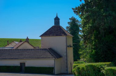 Burgundy, Fransa 'da Poully-sur-Loire köyü yakınlarındaki Loire nehrindeki Poully-sur-Loire şarap üretim bölgesinde yazın şato, tepe üzüm bağları, Fransa