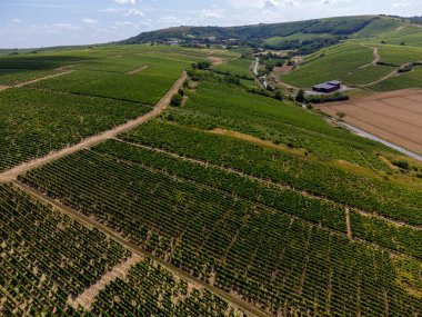 Sancerre şaraplarının etrafındaki yeşil üzüm bağlarının havadan görünüşü köy yapımı, tepelerde farklı topraklarda sıralanmış sauvignon beyaz üzümleri, Cher, Loire vadisi, Fransa